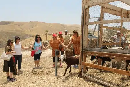 ערב גיבוש צוות